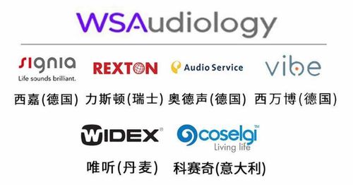 世界五大聽力集團技術優勢與產品系列解析 如何選擇最適合的助聽器品牌？
