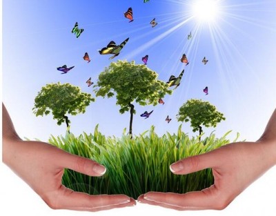 吳道洪 以節(jié)能減排技術(shù)創(chuàng)新與推廣服務，為中國實體經(jīng)濟注入綠色新動力